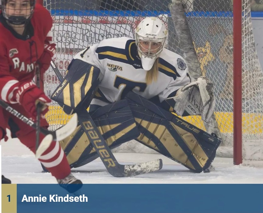 Trine loses home women’s hockey game in SO to Mil. School of Eng.